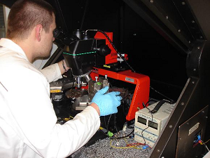 Jeden z držitelů grantu, Viliam Koloivoška, Ph.D., při práci v laboratoři na Univerzitě v Bernu.